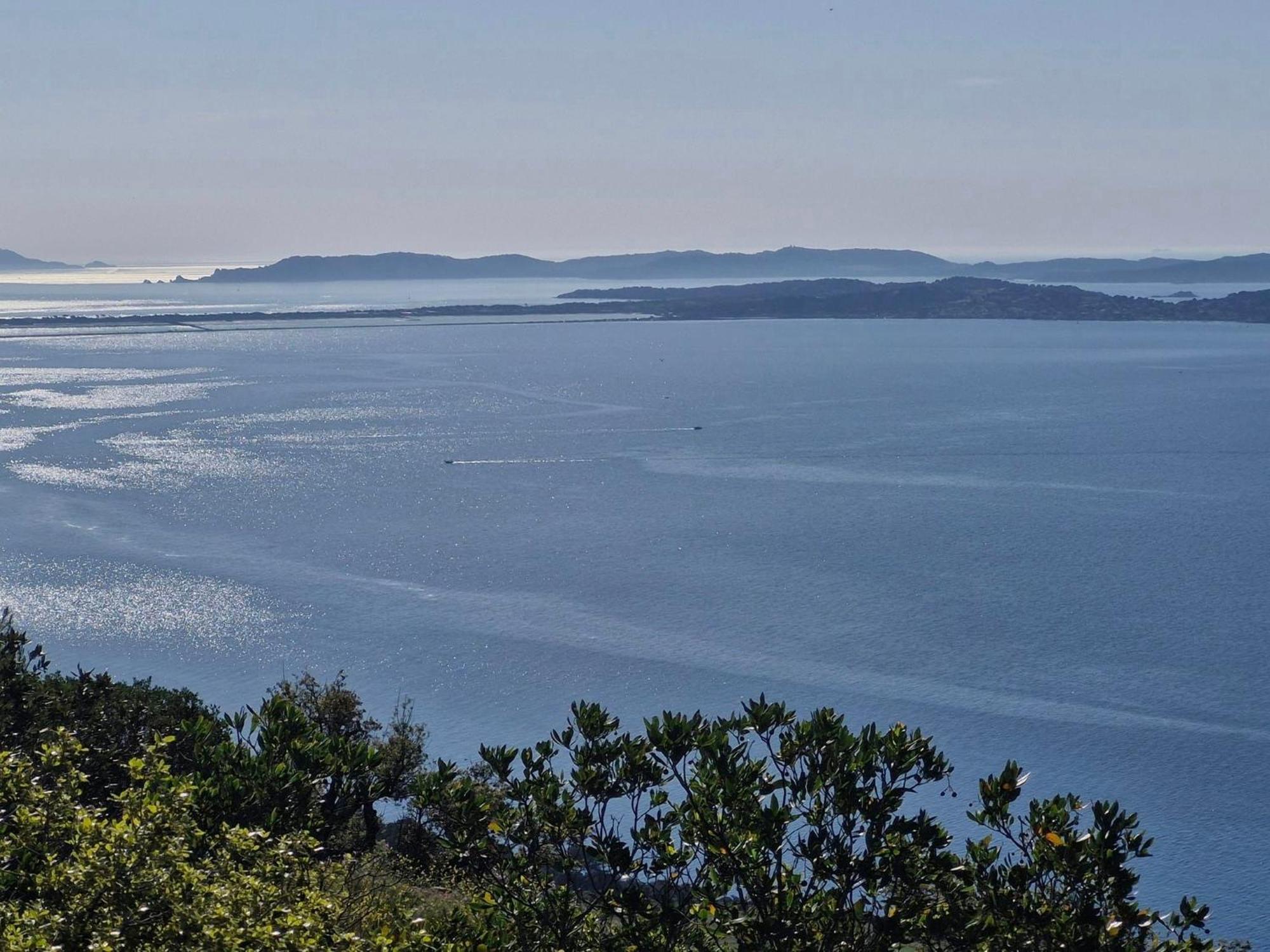 Agréable studio vue mer refait à neuf&climatisé Le Pradet Extérieur photo