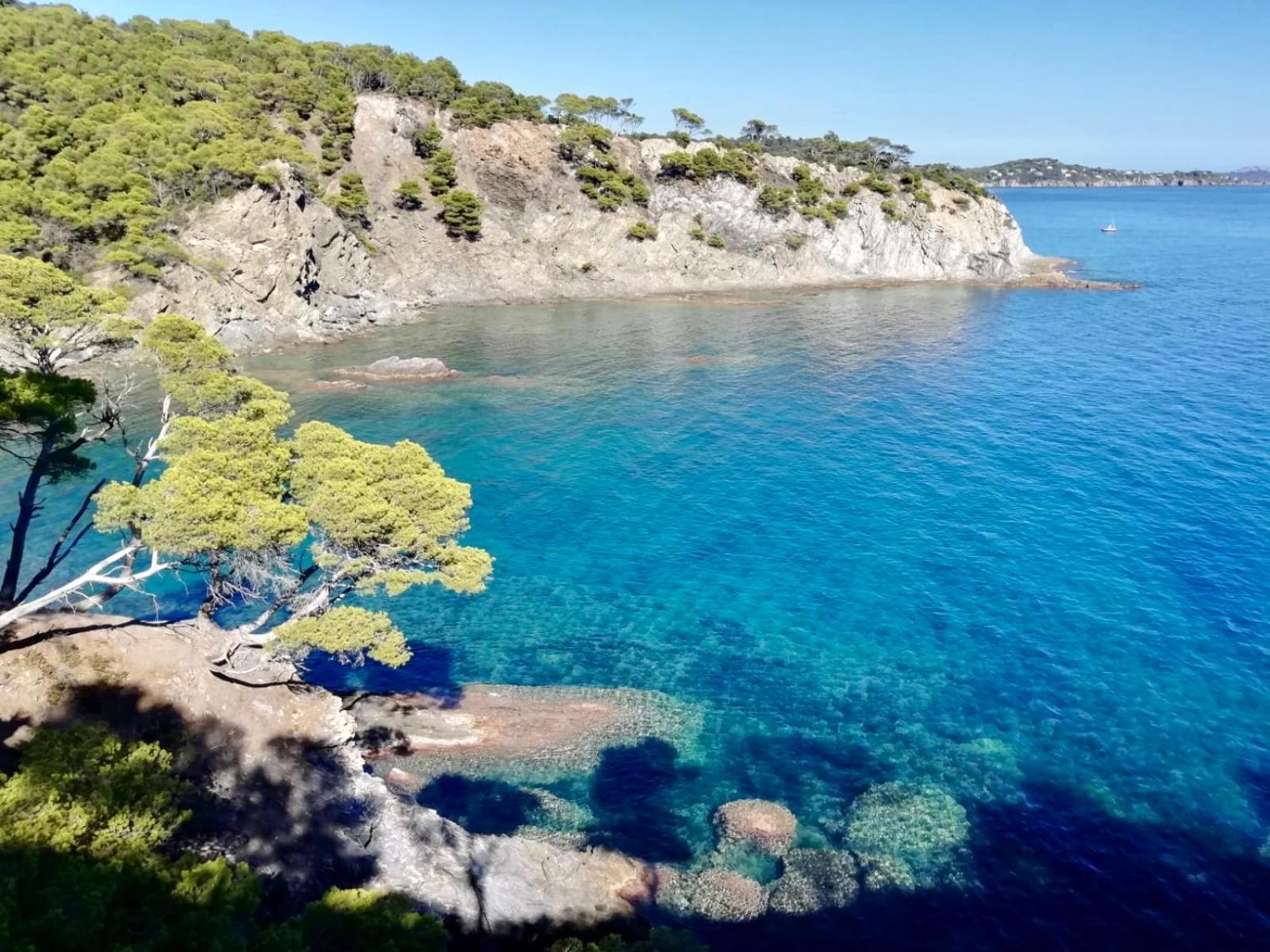 Agréable studio vue mer refait à neuf&climatisé Le Pradet Extérieur photo